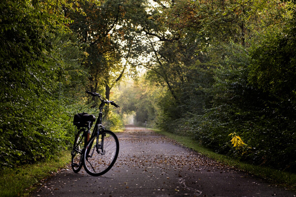Photo de vélos